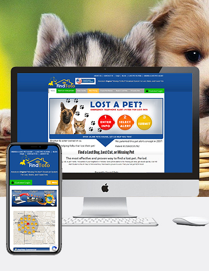 Find Toto Semidot Infotech